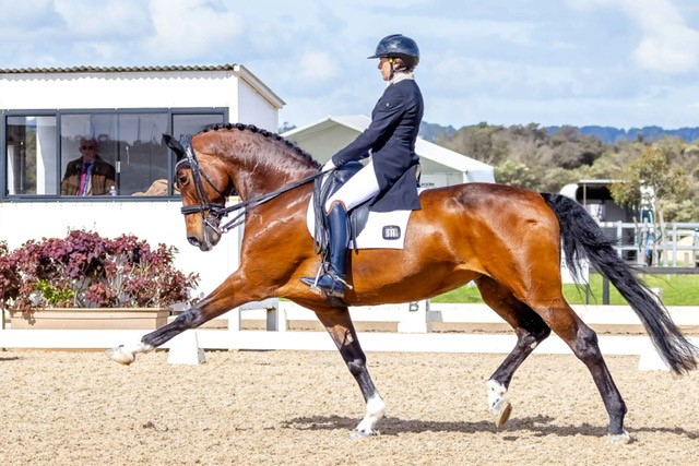 the-stable-ground-australian-dressage-championships-2023-equestrian